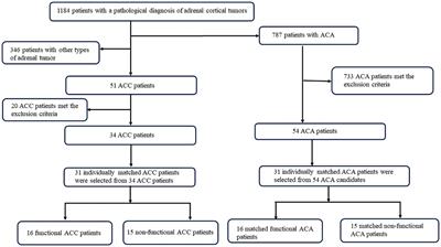 Influence of sex and functional status on the value of serum steroid profiling in discriminating adrenocortical carcinoma from adrenocortical adenoma